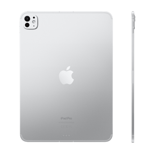 iPad Pro 11 2nd Gen